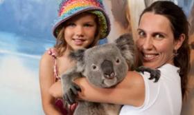 c30koala-list Thumbnail